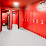 Armex Livecentrum Decin